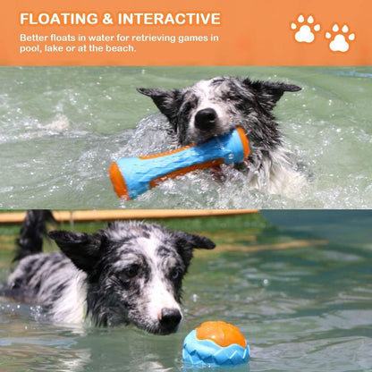 Interactive Fetch Play Dog Beach Toy