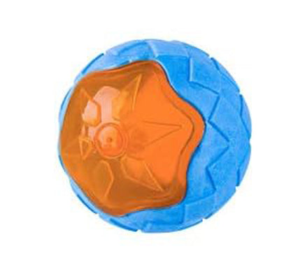 Interactive Fetch Play Dog Beach Toy